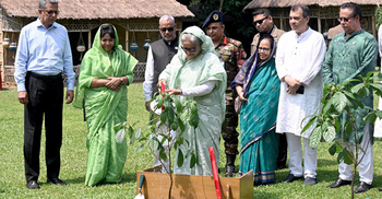 Plant trees to protect Bangladesh from climate change: PM