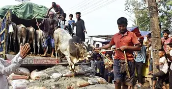 রাজধানীর ১৯ হাটের ইজারা চূড়ান্ত, সর্বোচ্চ দর দিয়াবাড়ির