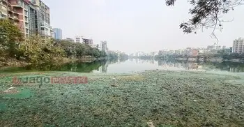 হাতিরঝিলে চলতে হয় নাক চেপে, শ্বাস নিতেও কষ্ট