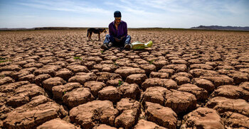 2024 warmest in 175 years; poses long-term risk for Bangladesh