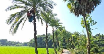 হেমন্ত এসে গেছে গ্রামের উঠানে