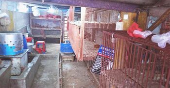 ঝালকাঠির বাজার থেকে উধাও মুরগি