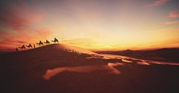 হিজরতের পথে মহানবির (সা.) মুজিজা