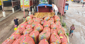 কাঁচা মরিচ আমদানি করে বিপাকে ৩ ব্যবসায়ী