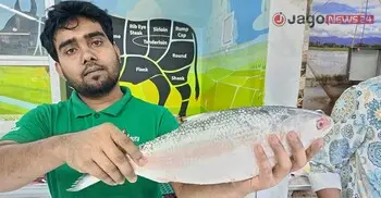 কেজি সাইজের একটি ইলিশ সাড়ে ৪ হাজার টাকা!