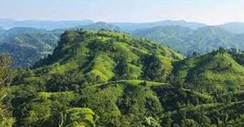 টেকনাফে দুর্গম পাহাড়ে অস্ত্র কারখানার সন্ধান, অভিযানে র‍্যাব