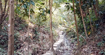 টেকনাফে ফের দুই রোহিঙ্গাসহ চারজনকে অপহরণ