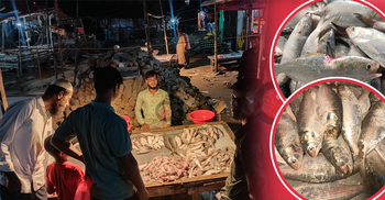 কাঁকড়ায় খাওয়া-কাটা ইলিশে সাধ মেটাচ্ছে মধ্যবিত্তরা