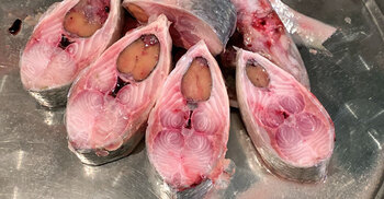 Rising hilsa prices force Rajshahi to sell in slices