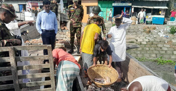 চাঁদপুরে পচা ইলিশ রাখায় ব্যবসায়ীকে লাখ টাকা জরিমানা