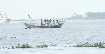 মেঘনা-তেঁতুলিয়ায় ইলিশের জন্য হাহাকার