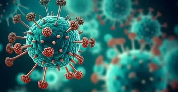 Virologists urge not to panic over HMPV