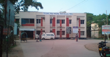 সাতক্ষীরায় সাপের কামড়ে শিশুর মৃত্যু