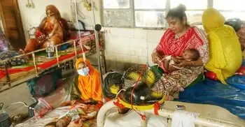 হামে ১৫ জনের মৃত্যু