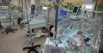 2 premature babies die, 37 under threat at Gaza’s al-Shifa Hospital