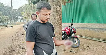 ময়মনসিংহে গরুর জিহ্বা কেটে দিলো দুর্বৃত্তরা