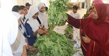 নগরের তাপমাত্রা বৃদ্ধি রোধে কার্যকর সমাধান স্বল্প পরিসরে সবুজায়ন