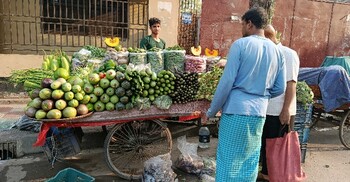 কিছুটা কমেছে লেবু-কাঁচা মরিচের দাম, শসা চড়াই