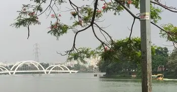 বৈশাখের বিকেলে এক পশলা বৃষ্টি, প্রাণের পরশ হাতিরঝিলে