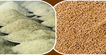 যুক্তরাষ্ট্র থেকে গম ও ভারত থেকে চাল আনছে সরকার, ব্যয় ১০৪৪ কোটি