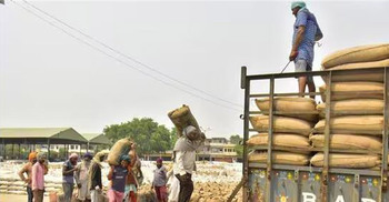 India lifts export ban on non-basmati rice, halves duty on parboiled rice