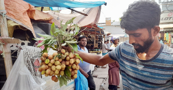 ঈশ্বরদীর বাজারে দেশি লিচু, দাম চড়া