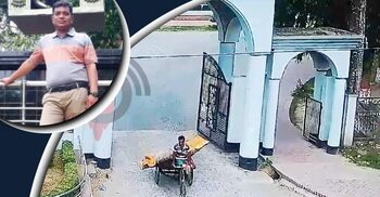 বন্ধ ক্যাম্পাসে গাছের গুঁড়ি পাচার, সেই কর্মচারী বরখাস্ত