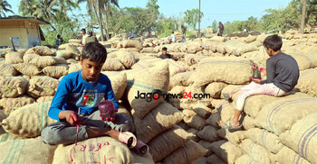 Potato storage woes: Traders dominate cold stores, farmers left stranded