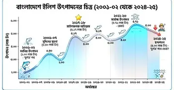 নদী সাগর মানুষের চাপে বিপন্নের পথে ইলিশ