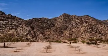 শহীদ হওয়ার আগে আব্দুল্লাহ ইবনে আমরের (রা.) স্বপ্ন