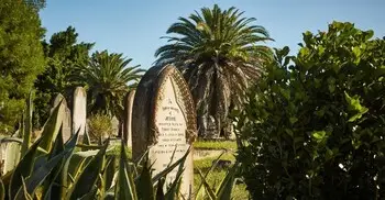 কবরে খেজুর গাছের ডাল পুঁতে দেওয়া, ইসলাম কী বলে?