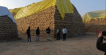 খালি হয়ে যাচ্ছে ‘ভারতের ভাতের গামলা’, দোষ কার?