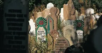 শবে বরাতের উত্তম আমল কবর জিয়ারত