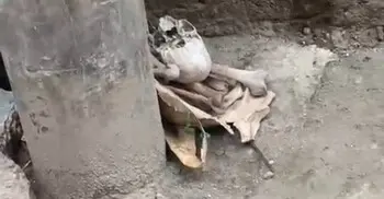মোহাম্মদপুরে সড়কে মিললো মানুষের মাথার খুলি-হাড়