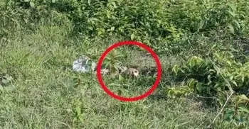 ফটিকছড়িতে টিলার খাদে মানুষের মাথার খুলি