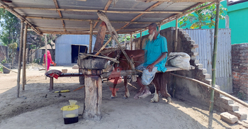 আব্বাস আলীর ঘানি ভাঙানো সরিষার তেলের কদর জেলাজুড়ে