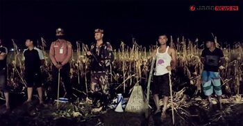 সীমান্তে পুশ-ইন আতঙ্ক, অন্ধকার নামলেই বাড়ে শঙ্কা