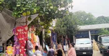 ইট-পাথরের নিউমার্কেটে ঝুলছে ডজন ডজন জাম্বুরা!