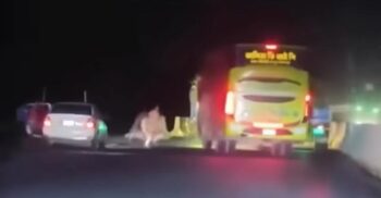 যমুনা সেতু পশ্চিম মহাসড়কে ডাকাতি, গ্রেফতার ২