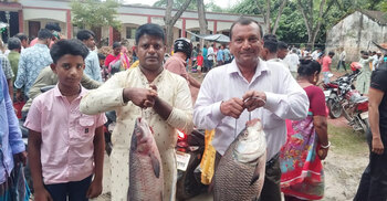 যশোরের জামাই মেলায় কোটি টাকার মাছ বিক্রি