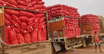 বেনাপোল বন্দর দিয়ে ১২০ মেট্রিক টন পেঁয়াজ আমদানি