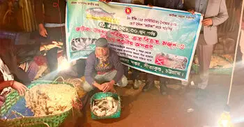 সীতাকুণ্ডে জাটকা বিক্রির অপরাধে ব্যবসায়ীকে জরিমানা