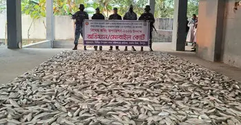 যাত্রীবাহী লঞ্চ থেকে জব্দ ৫০ মণ জাটকা এতিম-দুস্থদের মাঝে বিতরণ