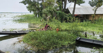 জলাবদ্ধতা-অভাব-আতঙ্ক, দুর্গাপূজার উৎসব নেই বাড়েধাপাড়ায়