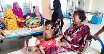 ঝিনাইদহে কুকুরের আক্রমণে শিশুসহ আহত ১৪