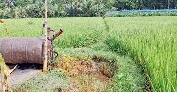 কৃষিতে তেল সংকটের আঁচ, দুর্ভোগে বিক্রয় প্রতিনিধিরা