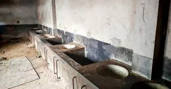 এক রাতে সৌদি প্রবাসীর বাড়ি থেকে ৫ গরু চুরি