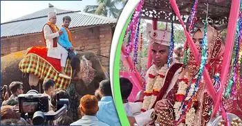 হাতির পিঠে চড়ে বরযাত্রা, নববধূ ফিরলেন ঘোড়ার গাড়িতে