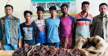 জয়পুরহাটে ট্রান্সফরমার চুরির মামলায় গ্রেফতার ৫