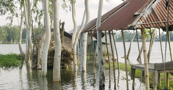 কুড়িগ্রামে ফের পানি বেড়ে নিম্নাঞ্চল প্লাবিত